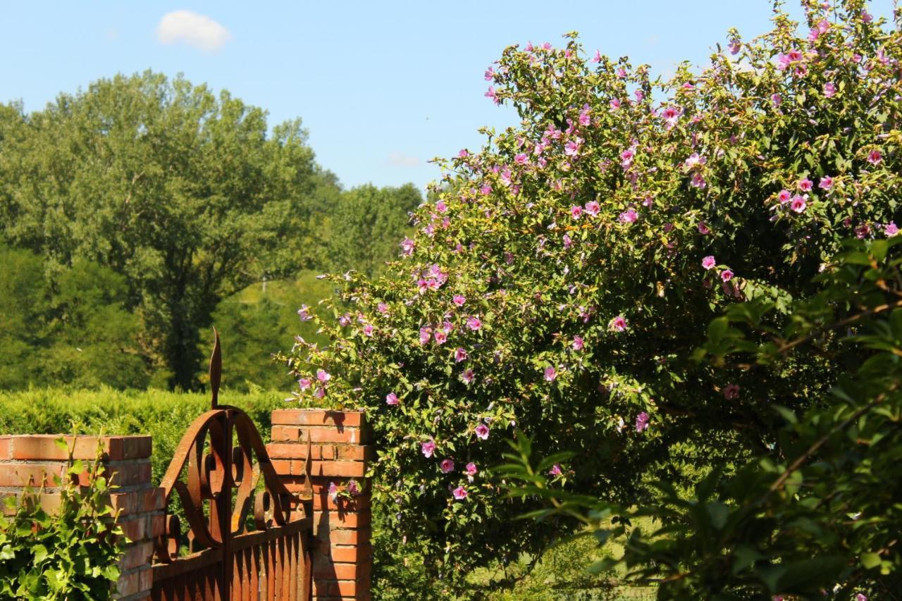 Il Casolare Bed & Breakfast Penna Bagian luar foto
