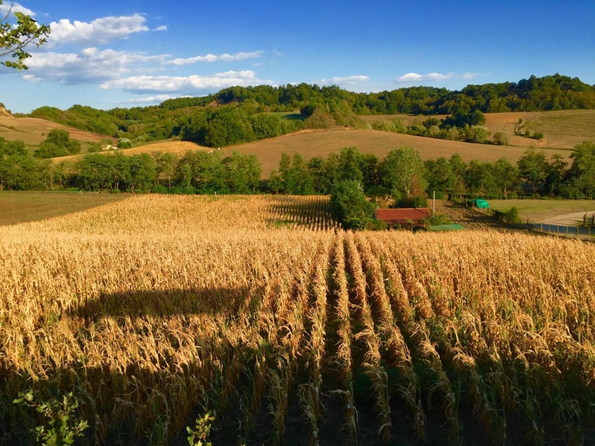 Il Casolare Bed & Breakfast Penna Bagian luar foto