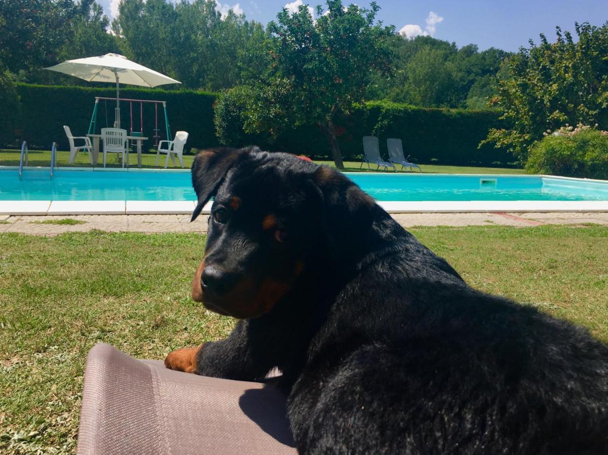 Il Casolare Bed & Breakfast Penna Bagian luar foto
