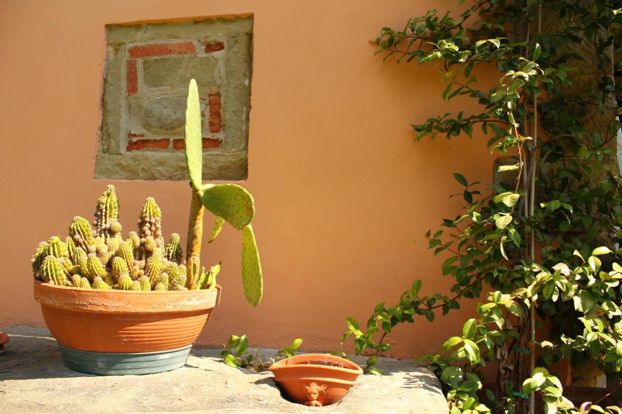 Il Casolare Bed & Breakfast Penna Bagian luar foto